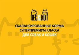 Презентация корма суперпремиум-класса для B2B-дистрибуции